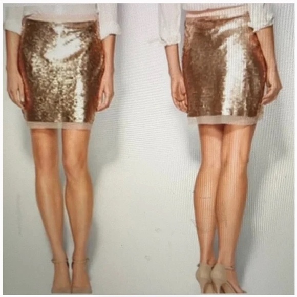 Sabine Champagne Sequin Mini Skirt with Mesh